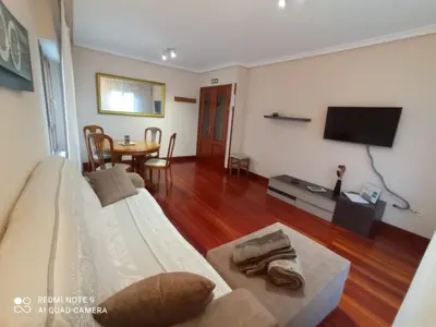Una televisión o centro de entretenimiento en Pedroenea Apartamento Elizondo