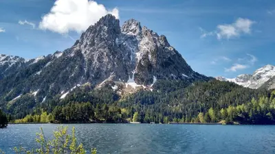 Paisaje cerca de este apartamento