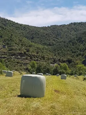 Paisaje cerca of this country house