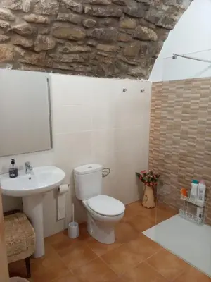 Un baño de Casa 
