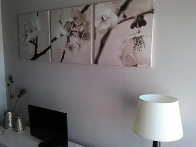 Una televisión o centro de entretenimiento en Lagaya Apartaments & Spa