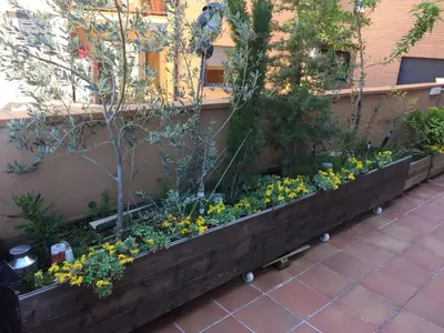 Jardín al aire libre en BIOK Ainsa Ordesa-Monte Perdido'