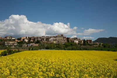 Paisaje cerca de este apartamento