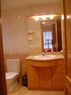 Un baño de Apartamentos Pirineos Ordesa II