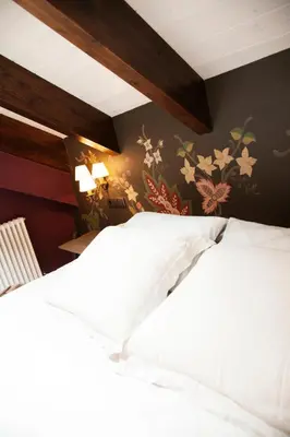 Cama o camas de una habitación en Hotel Villa de Torla