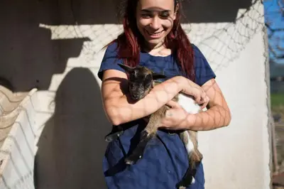 Mascotas con sus dueños en Mas Taniet Hotel Rural