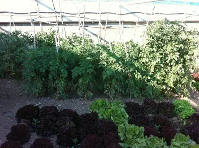 Jardín al aire libre en Casa Masover