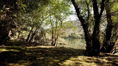 Paisaje cerca de este hotel
