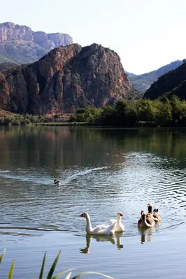 Paisaje cerca de este camping