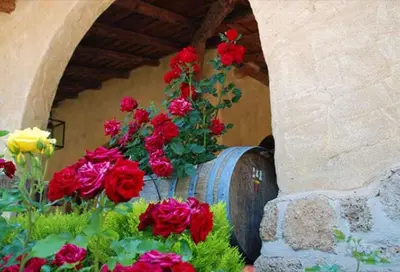 Jardín al aire libre en Raco del Tosca