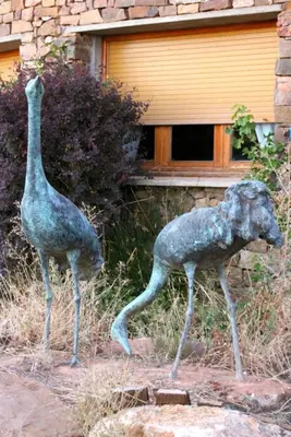 Animales en el hotel o alrededores