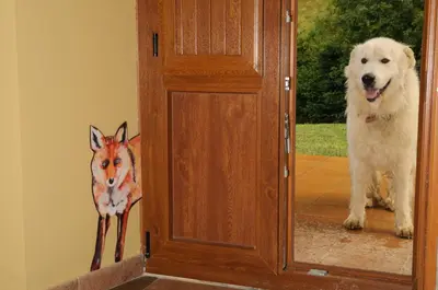 Mascotas con sus dueños en Hostal Rural Iratiko Urkixokoa