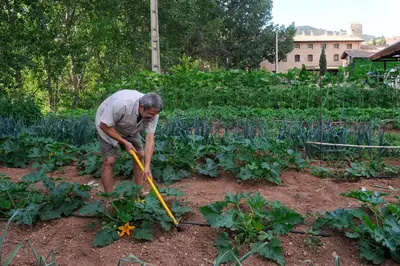 Jardín al aire libre en Font del Pas