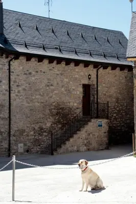 Mascotas con sus dueños en Hostal Rural Casa Parda