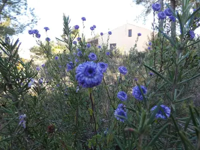 Jardín al aire libre en La Ruella