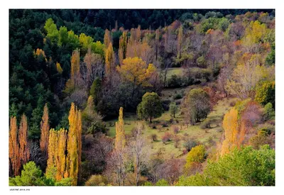 Paisaje cerca de este apartamento