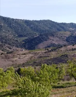 Paisaje cerca de este apartamento