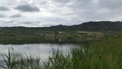 Paisaje cerca de este apartamento