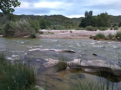 Paisaje cerca de este apartamento