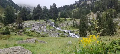 Paisaje cerca de este apartamento