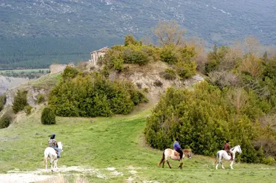 Clientes alojados en Apartamento PILARE, a las puertas del Pirineo Navarro