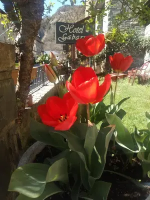 Jardín al aire libre en Gabarre