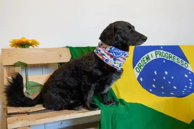 Mascotas con sus dueños en Albergue Estrella Guia