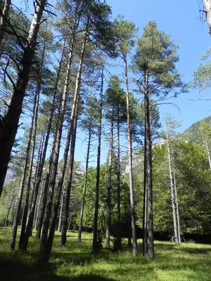Paisaje cerca de este apartamento