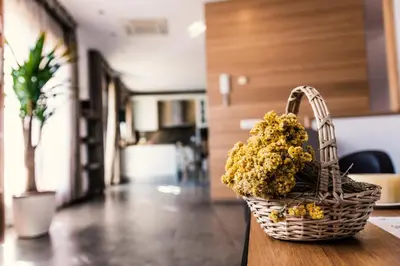 Comida en o cerca de este apartamento