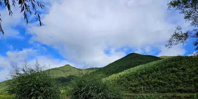 Paisaje cerca de este camping