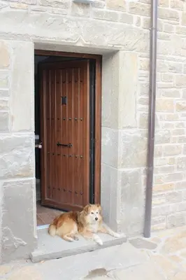 Mascotas con sus dueños en Casa Perez