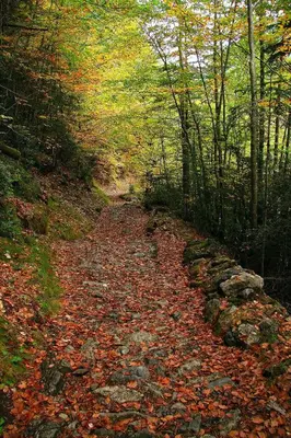 Paisaje cerca de este hotel