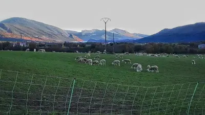Paisaje cerca de este apartamento