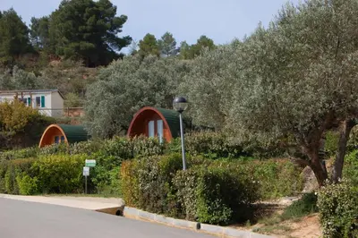 Jardín al aire libre en Càmping Terra Alta