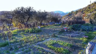 Paisaje cerca de este apartamento
