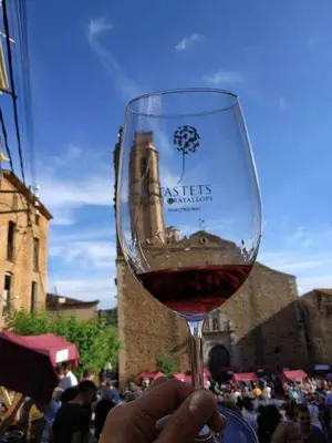 Bebidas en Ca l'Aixut Turismo Rural