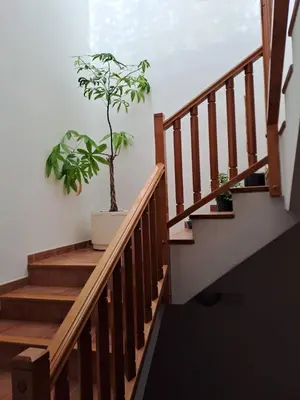 Plano de DELICIAS
