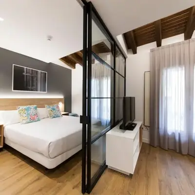 Antique Pamplona Tres Reyes Apartments