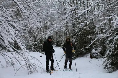 O Chardinet d'a Formiga en invierno