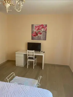 Una televisión o centro de entretenimiento en Hostal Sara
