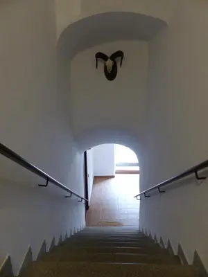 Plano de Casa Altemir
