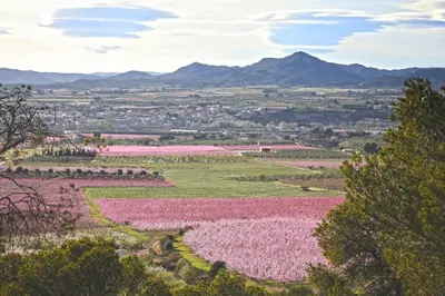 Paisaje cerca of this country house