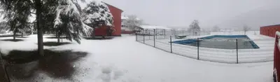 Pinarillos en invierno