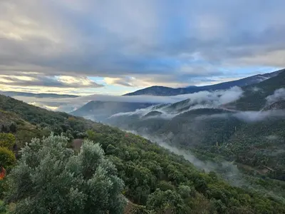 Paisaje cerca of this country house