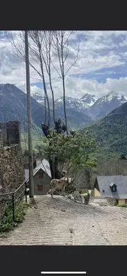 Vista general de una montaña o vista desde el apartamento