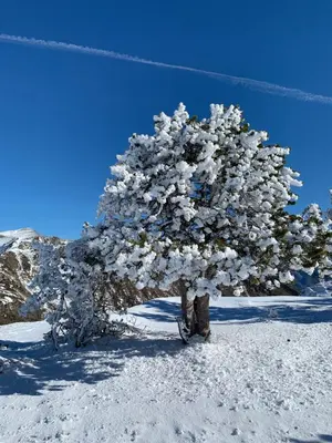 Apartamento con Encanto en invierno