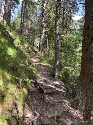 Paisaje cerca de este apartamento