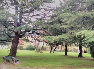Jardín al aire libre en Los Valles 4