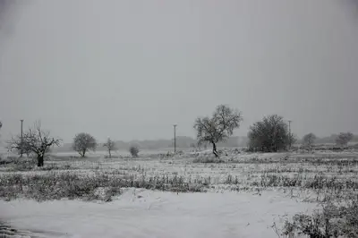 APARTAMENTO FONTELLAS-AYERBE en invierno