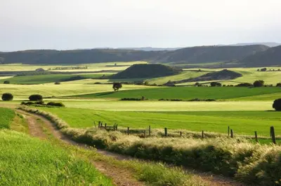 Paisaje cerca de este apartamento